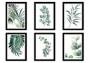 Set de Laminas enmarcadas Botánica, Plantas