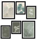 Set de Laminas enmarcadas Marco Negro Botánica, Plantas