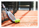 Lámina raqueta de padel apoyada en la red