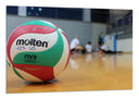 Cuadro pelota de volleyball