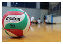 Lámina pelota de volleyball