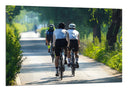 Cuadro ciclismo, carrera en carretera
