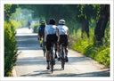 Lámina ciclismo, carrera en carretera
