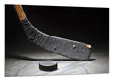 Cuadro stick de hockey, disco