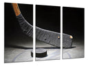 Tríptico stick de hockey, disco