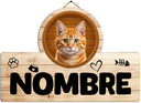 Cartel Gato Personalizado