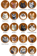 Cartel Gato Personalizado