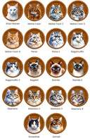 Cartel Gato Personalizado