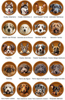 Cartel Perro Personalizado