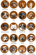 Cartel Perro Personalizado