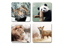 animales tigre leon oso panda zorro